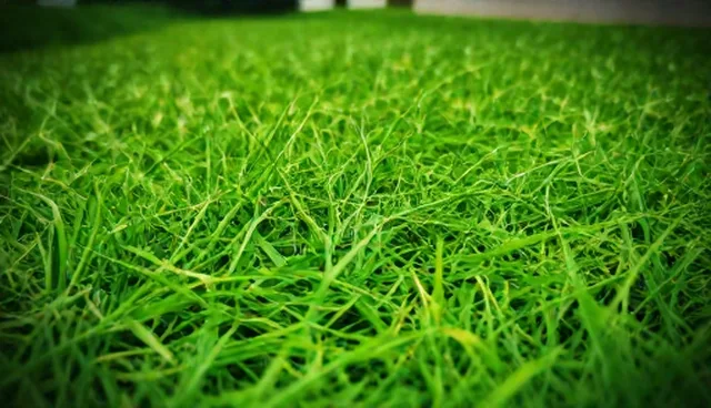 日常沟通中的信息咨询应用场景分析